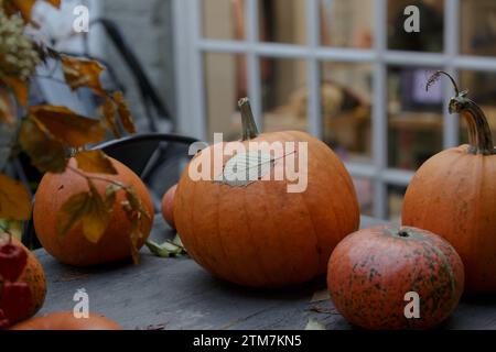 Zucche su un tavolo di legno alla vigilia di Halloween. Zucca d'arancia e foglie autunnali su un tavolo da picnic in autunno. Colorato fogliame autunnale. Campagna Foto Stock