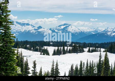 La neve ricopre i pendii alpini con l'aspra catena Garibaldi sullo sfondo Foto Stock