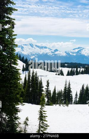 La neve ricopre i pendii alpini con l'aspra catena Garibaldi sullo sfondo Foto Stock