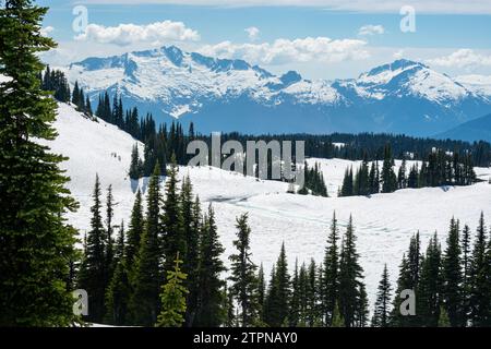 La neve ricopre i pendii alpini con l'aspra catena Garibaldi sullo sfondo Foto Stock