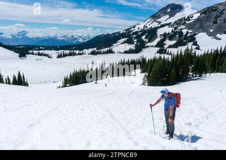 Un escursionista naviga nella distesa innevata del Panorama Ridge Trail sotto un cielo limpido Foto Stock