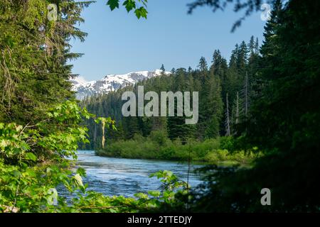 Il fiume Cheakamus si snoda attraverso una fitta foresta con una vista mozzafiato sulle montagne innevate nella vasta natura selvaggia della Columbia Britannica. Foto Stock