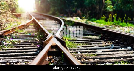 Incrocio di binari ferroviari Foto Stock