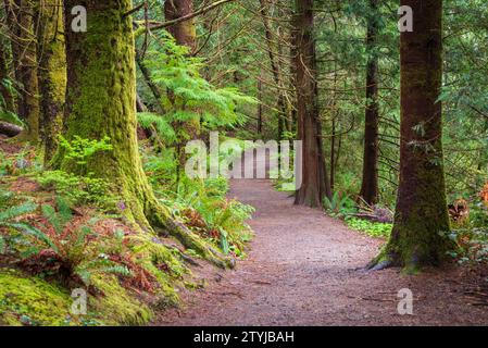 Da Fort a Sea Trail nei parchi storici nazionali e statali Lewis and Clark, Oregon Foto Stock