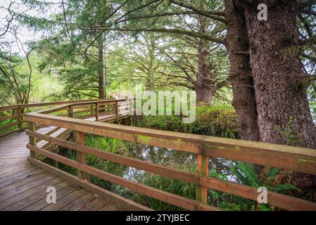 Da Fort a Sea Trail nei parchi storici nazionali e statali Lewis and Clark, Oregon Foto Stock