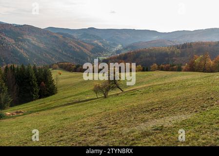 Vista dal rifugio Kamenity nelle montagne Moravskoslezske Beskydy in repubblica Ceca in autunno Foto Stock