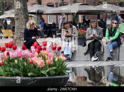 Amsterdam, Paesi Bassi - 21 aprile 2023: Le donne interessate solo ai loro smartphone di fronte al Rijksmuseum di Amsterdam. Paesi Bassi Foto Stock