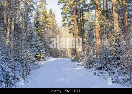 Strada innevata nella foresta in una fredda giornata invernale Foto Stock
