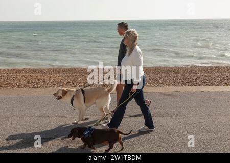 Inghilterra, Kent, affare, Deal Beach, coppia di cani da passeggio Foto Stock