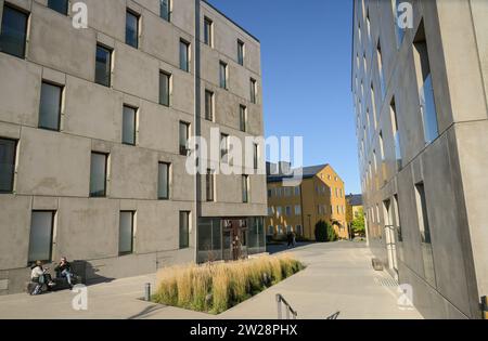 Modernes Studentenwohnheim, Campus Königliche Technische Hochschule KTH, Kungliga Tekniska Högskolan, Brinellvägen, Stoccolma, Schweden Foto Stock