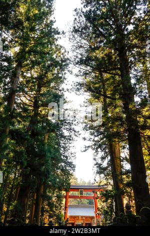KITAGUCHI HONGU FUJI SENGEN SHRINE JAPON Foto Stock