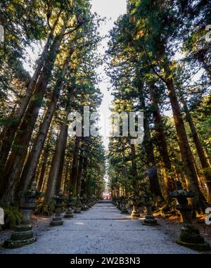 KITAGUCHI HONGU FUJI SENGEN SHRINE JAPON Foto Stock