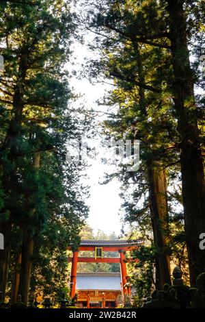 KITAGUCHI HONGU FUJI SENGEN SHRINE JAPON Foto Stock