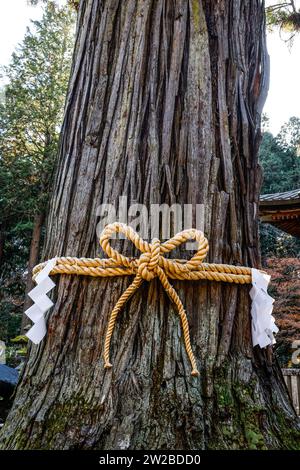 KITAGUCHI HONGU FUJI SENGEN SHRINE JAPON Foto Stock