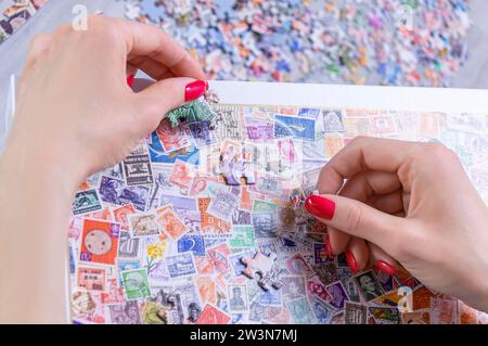 L'adolescente gioca a rompicapo. Il concetto di giochi da tavolo educativi. Resta a casa. Supporti misti Foto Stock