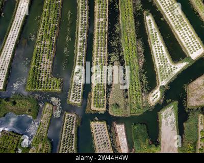 La valle di Neretva è il delta del fiume Neretva, un fiume che scorre attraverso la Bosnia ed Erzegovina e la Croazia e sfocia nel mare Adriatico Foto Stock