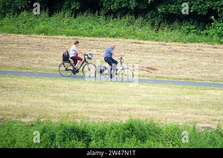 Anziani pensionati anziani anziani anziani anziani anziani anziani anziani anziani anziani in bicicletta bicicletta ciclisti ciclisti in bicicletta Meadow Elba River Valley Germania Foto Stock