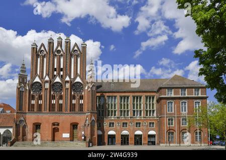 Altes Rathaus, Marktplatz, Francoforte sull'Oder, Brandeburgo, Deutschland Foto Stock