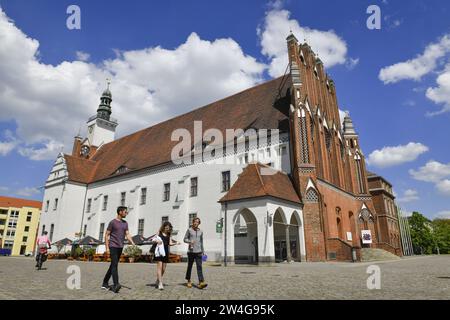 Altes Rathaus, Marktplatz, Francoforte sull'Oder, Brandeburgo, Deutschland Foto Stock