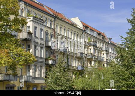 Altbauten, Rykestrasse, Prenzlauer Berg, Pankow, Berlino, Deutschland Foto Stock