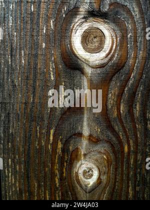 Primo piano di due nodi su Una superficie in legno resistente agli agenti atmosferici Foto Stock