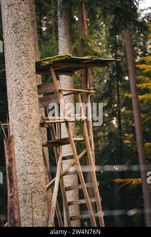 Un vecchio nascondiglio eretto addossato a un albero nel mezzo di un'atmosfera di foresta autunnale, Calw, Foresta Nera, Germania Foto Stock