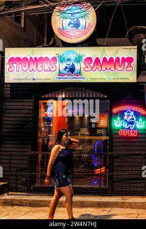 Marijuana Weed Shop, Fishermans Village Night Market, Bo Phut, Ko Samui, Thailandia Foto Stock