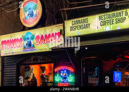 Marijuana Weed Shop, Fishermans Village Night Market, Bo Phut, Ko Samui, Thailandia Foto Stock