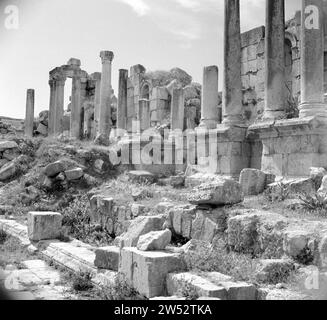 Nymphaeum a Jerash, California. 1950-1955 Foto Stock