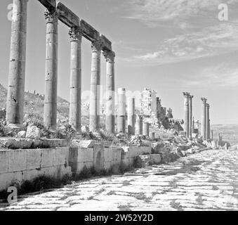 Colonnade a Jerash, California. 1950-1955 Foto Stock