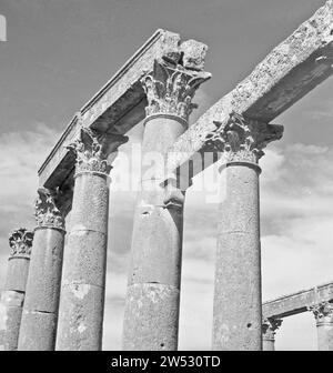 Colonnade a Jerash, California. 1950-1955 Foto Stock