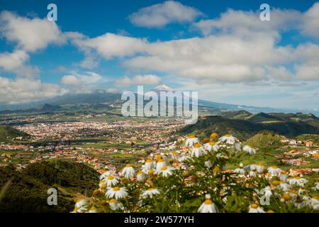 Panorama da Mirador de Jardina a San Cristobal de la Laguna, dietro di esso il Pico de Teide, 3718 m, Tenerife, Isole Canarie, Spagna Foto Stock