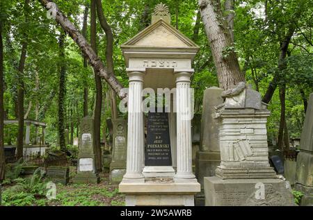 Lapidi, tombe d'onore, cimitero ebraico in via Okopowa, Varsavia, Voivodato di Mazowieckie, Polonia Foto Stock