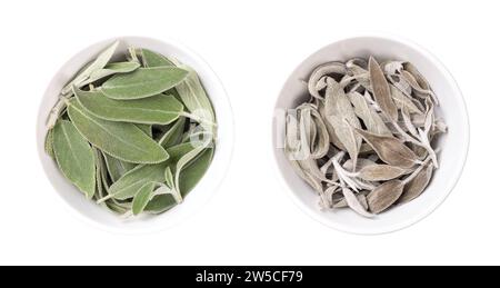 Foglie di salvia fresche ed essiccate, in ciotole bianche. Salvia comune, Salvia officinalis, un'erba verde grigiastro con foglie vellutate. Foto Stock