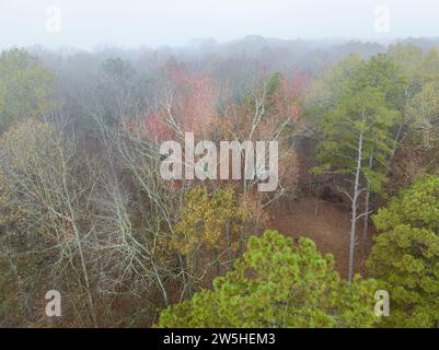 A fine novembre veduta aerea di una foresta nebbia su una riva del fiume Tennessee vicino al Colbert Ferry Park, Natchez Trace Parkway Foto Stock