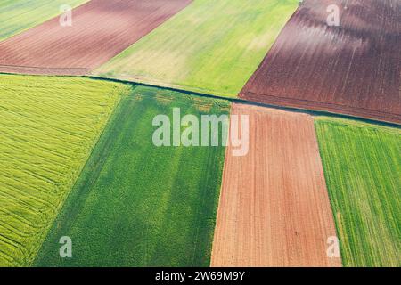 Veduta aerea di un mosaico di campi agricoli in varie sfumature di verde e marrone, che mostra i motivi del paesaggio rurale. Foto Stock