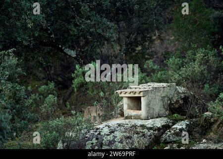 La lince iberica è vigile su un terreno roccioso vicino a un tradizionale rifugio in pietra, mescolandosi con l'ambiente naturale delle montagne della Sierra Morena in J Foto Stock