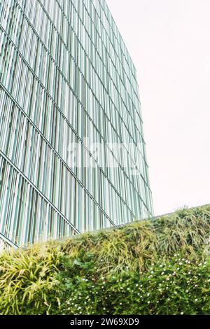 Basso angolo di recinzione verde del Bush situato vicino a un moderno edificio finanziario di alto livello contro il cielo grigio della città Foto Stock