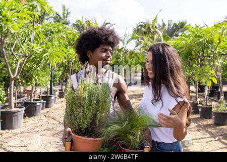 Sorridente giovane agricoltore afroamericano che tiene piante verdi e guarda una collega mentre lavora in una piantagione biologica durante il giorno di sole Foto Stock