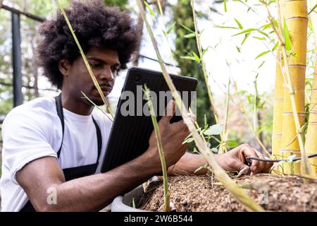 Giovane botanico maschio nero concentrato e fiducioso con tablet digitale che analizza la pianta nella piantatrice in serra organica Foto Stock