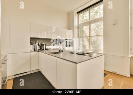 Lavandino e induzione sul ripiano della moderna cucina di una casa lussuosa con grande finestra e armadi bianchi Foto Stock