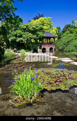 Giardino giapponese, Leverkusen, Renania settentrionale-Vestfalia, Germania, Europa Foto Stock