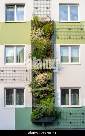 Facciate greening su condomini, su Gladbecker Strasse, B224, per filtrare gli ossidi di azoto e le particelle di polvere fine dall'aria, arrampicarsi sulle vigne, fluire Foto Stock