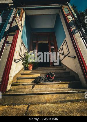 Un delizioso pomeriggio a Cerro Alegre, passeggiando per le strade di Valparaiso, Cile Foto Stock