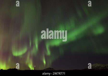 Aurora boreale durante un'esposizione molto attiva al Parco Nazionale di Thingvellir, Islanda Foto Stock