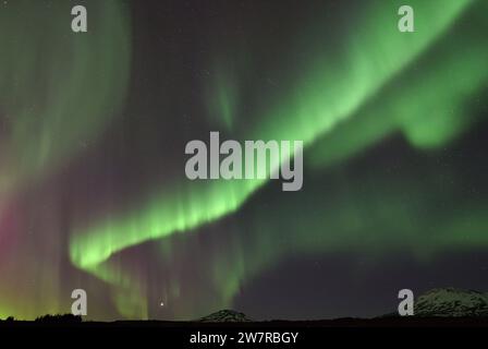 Aurora boreale durante un'esposizione molto attiva al Parco Nazionale di Thingvellir, Islanda Foto Stock