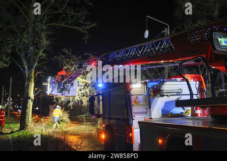 Sturmtief Zoltan sorgeva a Solingen für einige Einsätze von Polizei und Feuerwehr Zahlreiche Einsätze beschäftigten die Feuerwehr Solingen aufgrund des Sturmtiefes Zoltan am Donnerstagabend. Bereits über den Tag verteilt War es immer wieder zu umgestürzten Bäumen, Losen Dachteilen und Überschwemmungen gekommen. An der Burger Landstraße fiel ein Großer Baum quer über die Fahrbahn und stürzte dabei auf die Oberleitung der Linienbusse. Die einzige Verbindungsstraße zum Ortskern Burg War für einige Stunden gesperrt. Solingen, Burger Landstraße Deutschland *** la tempesta Zoltan ha causato un certo numero di polizia Foto Stock