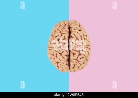Cervello creativo su sfondo blu e rosa. Due emisferi cerebrali, idea creativa. Pensa in modo diverso, concetto. Foto Stock