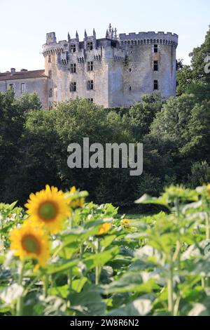 Campo di girasoli in fiore di fronte al Château de la Chapelle-Faucher nel Périgord Vert. Storia, architettura, patrimonio e turismo. La Chapelle Foto Stock