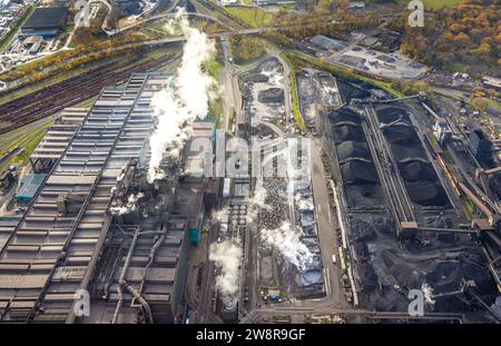 Vista aerea, Hüttenwerke Krupp Mannesmann HKM con nuvole di fumo sul fiume Reno, circondato da alberi decidui autunnali, Hüttenheim, Duisburg, Ruhr Foto Stock